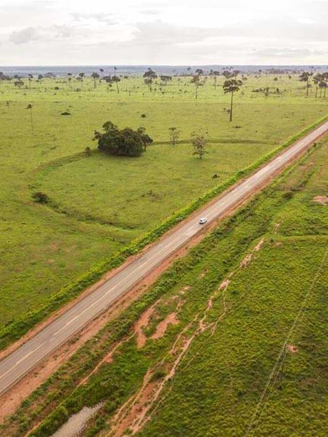 Os mistérios dos geoglifos da Amazônia brasileira