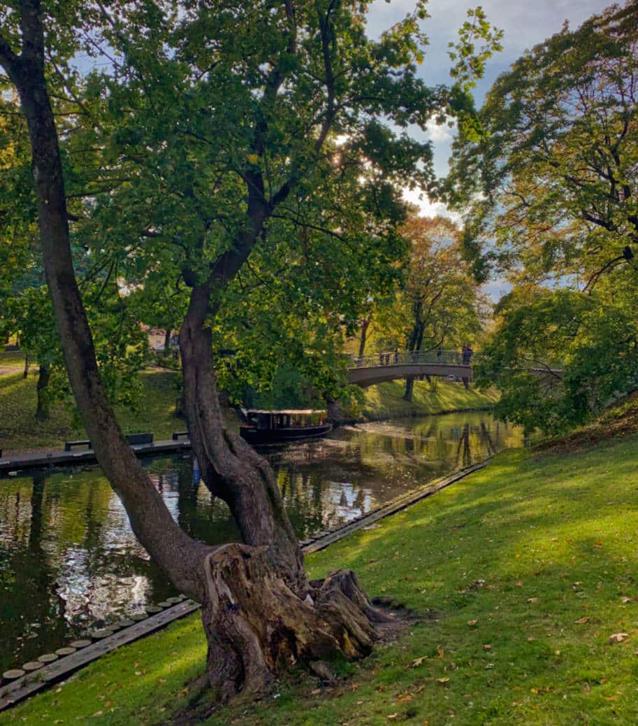 parque em riga letonia o que fazer la