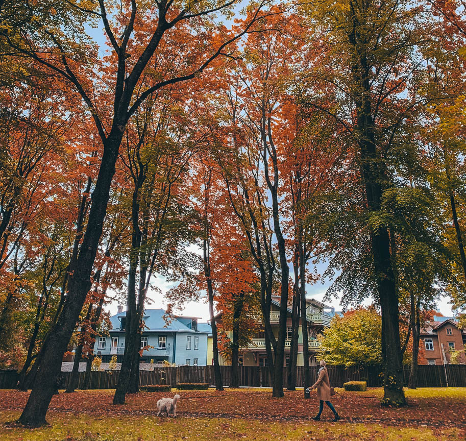 parque kalamaja tallinn estonia