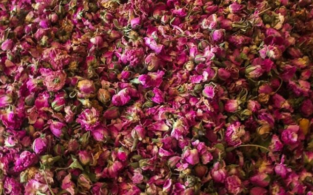 rosas marrocos destacada-2
