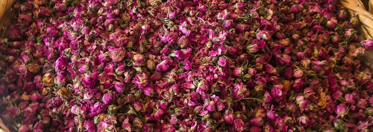 rosas marrocos destacada-2