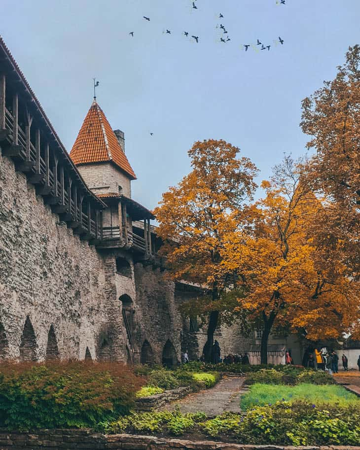 tallinn torre fdefesa danish king garden