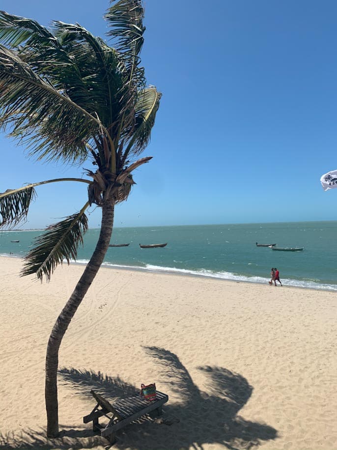 rota das emoções praia barra grande piaui coqueiro