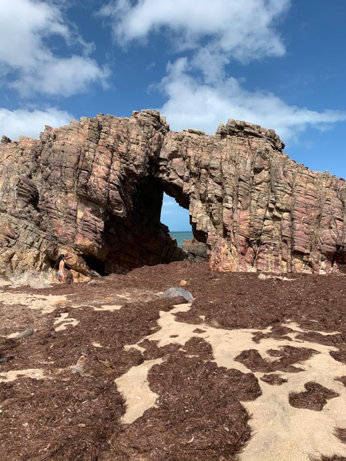 pedra furada jericoacora praia algas