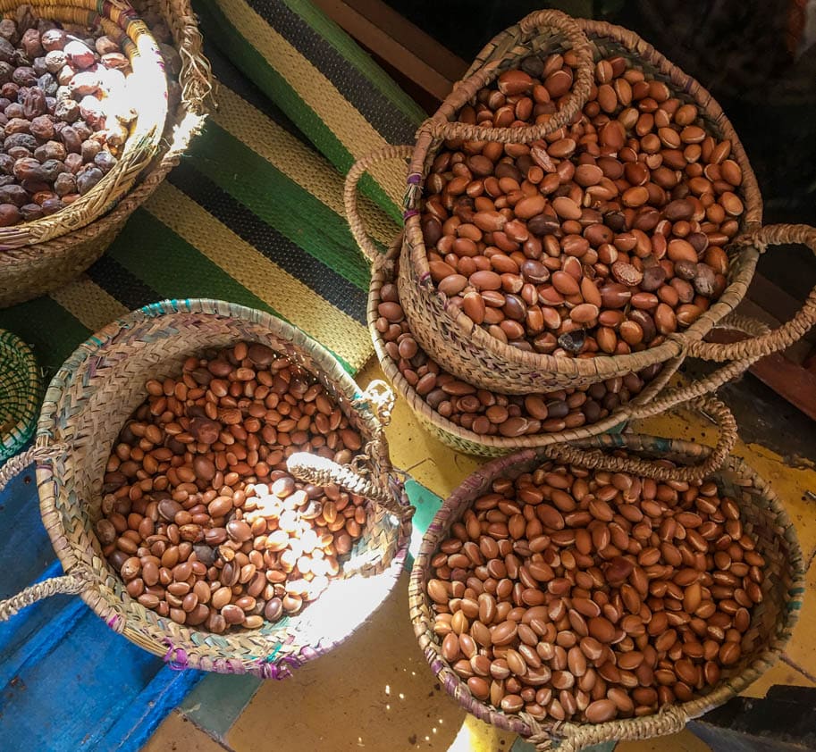 fruto amendoa oleo de argan marrocos