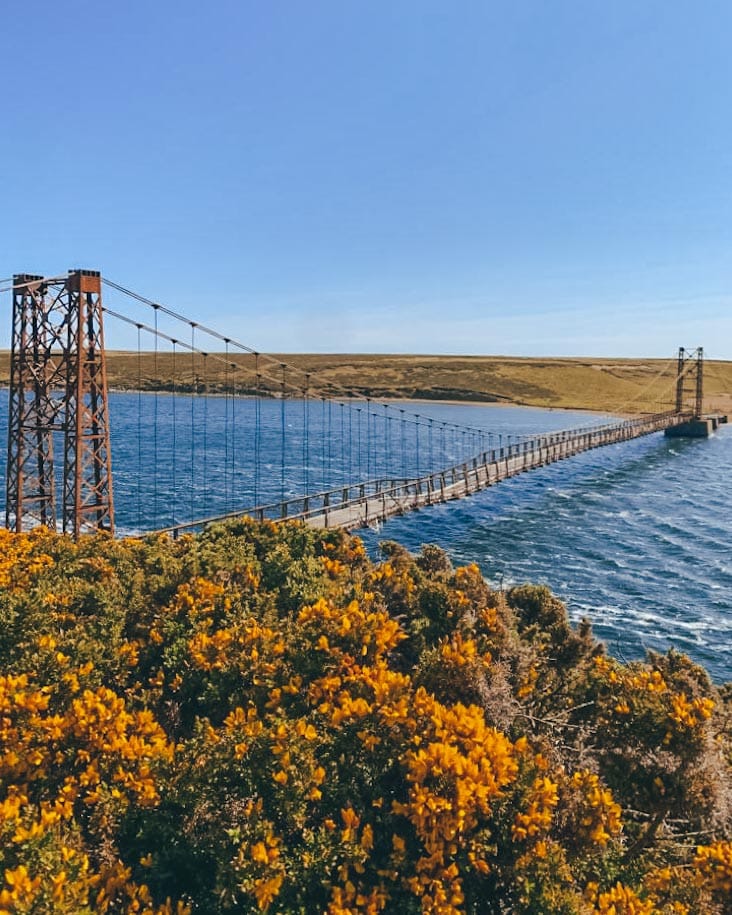 ponte em goose green falklands