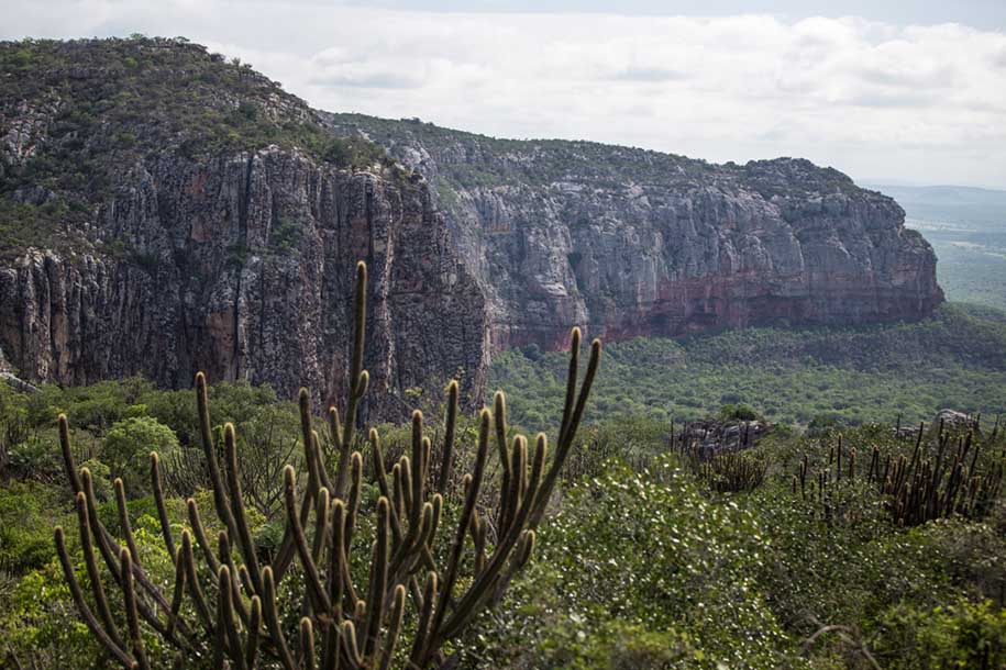 paisagem no vale do catimbau