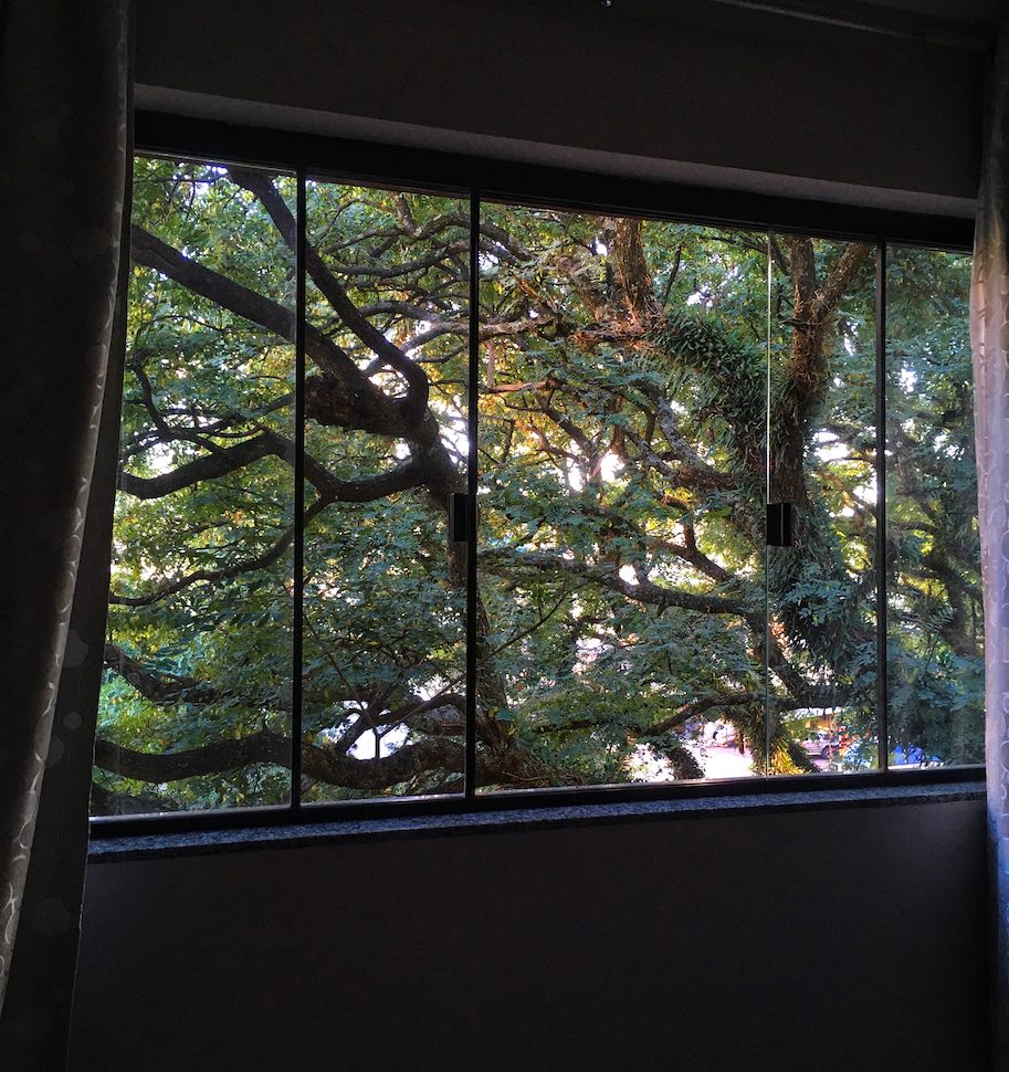 vista da janela quarentena corona