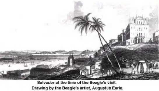 Salvador durante a visita de Darwin ao Brasil