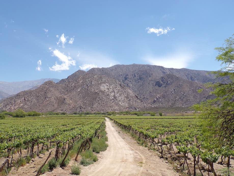 Norte da Argentina - Cafayate