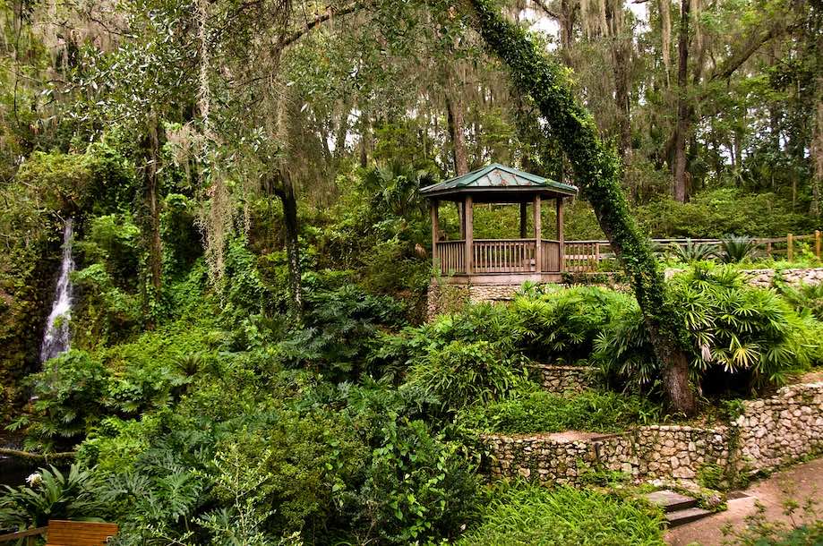 Parques Naturais da Flórida - Rainbow Springs