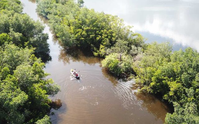 Parques Naturais da Florida, EUA