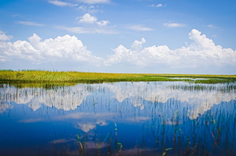 Parques Naturais da Flórida - Everglades National Park