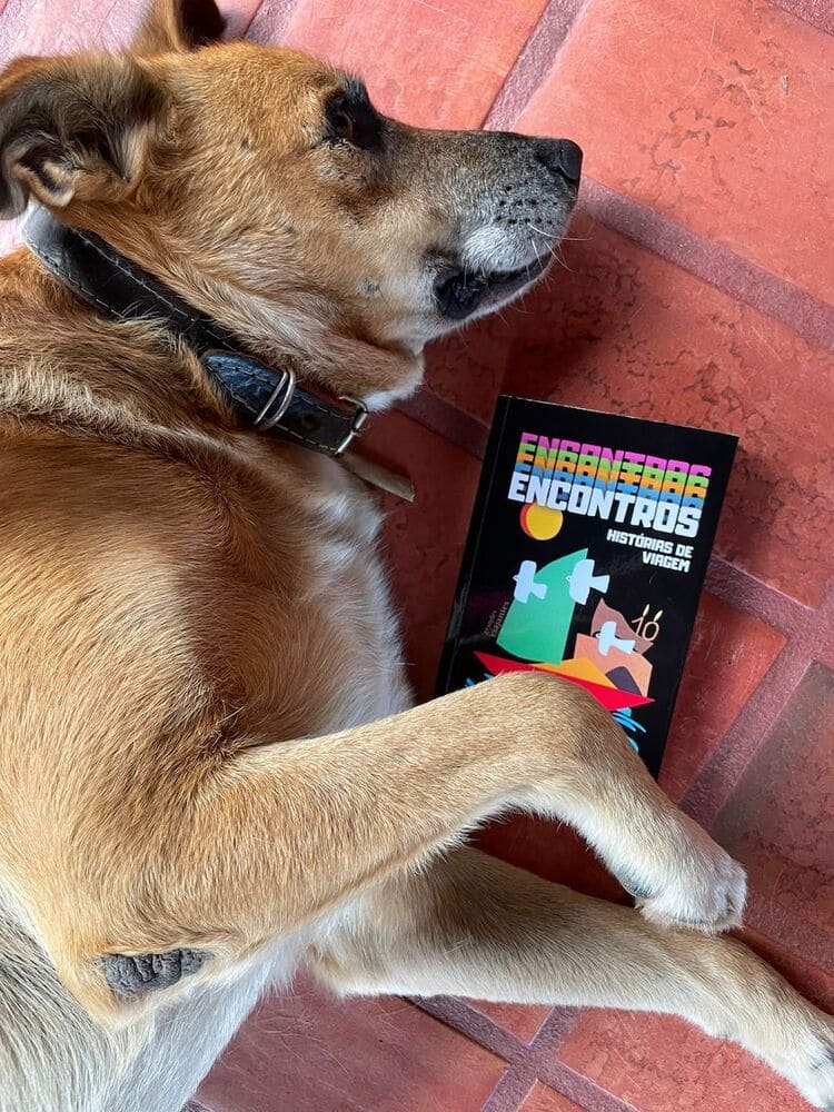 cachorro e livro