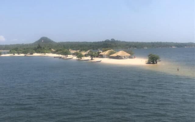 cropped-amazonia2.jpg