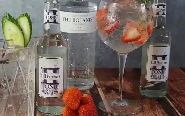 cropped-gim-and-tonics-bebida.webp