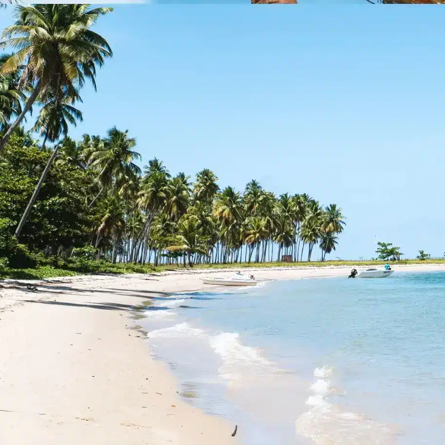 hospedagem na praia dos carneiros PE