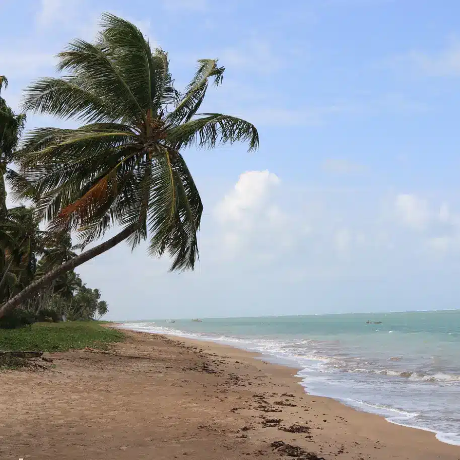 pousadas na praia dos carneiros pernambuco