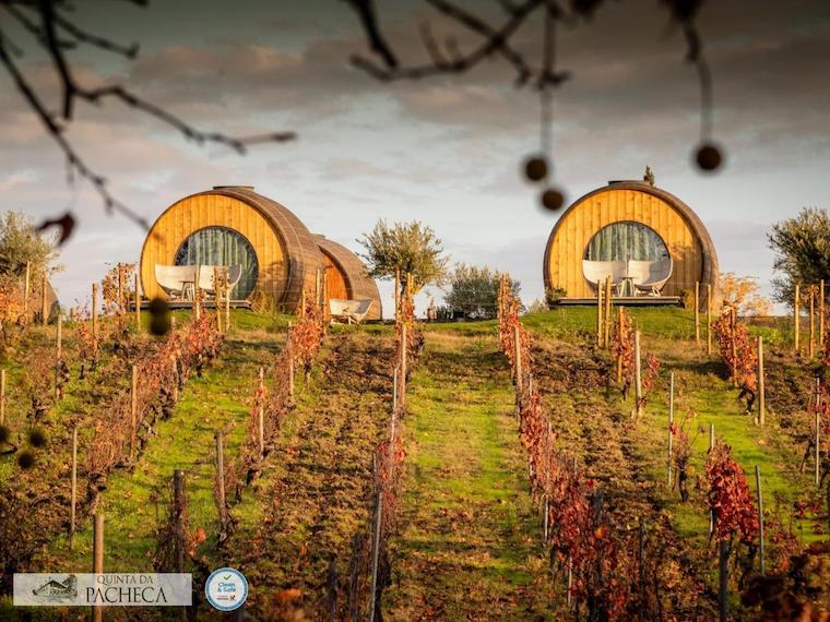 quinta da pacheca onde ficar no douro