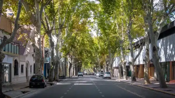 Rua tranquila, repleta de árvores e casas no centro de Mendoza. Essa é uma boa opção de onde ficar na cidade.