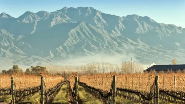Vinícolas de Mendoza em época de seca, com as montanhas dos Andes ao fundo. 