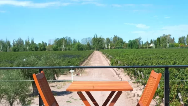 Uma mesa de restaurante com duas cadeiras em frente a uma plantação de vinhas. Maipu é uma ótima opção de onde ficar em Mendoza. 
