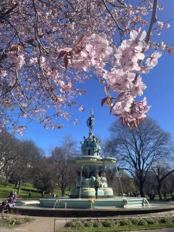 princes st gardens num roteiro por edimburgo