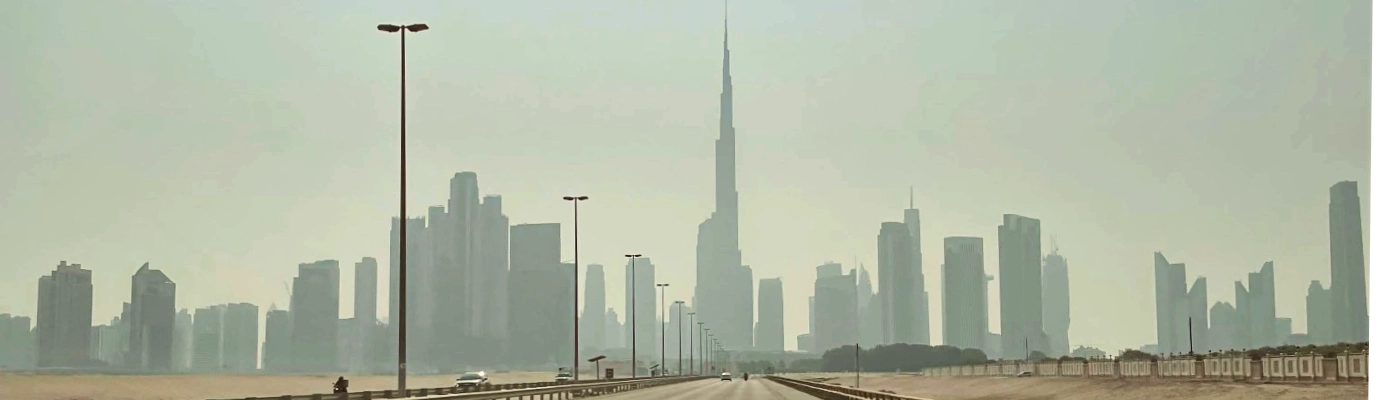 skyline de dubai vista