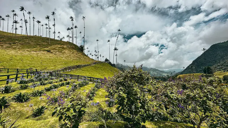 Valle de Cócora na Colômbia