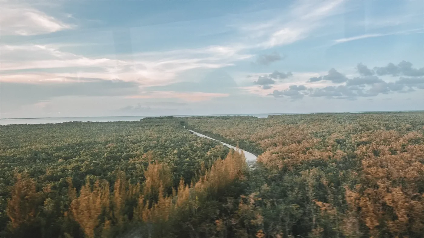 Everglades Florida