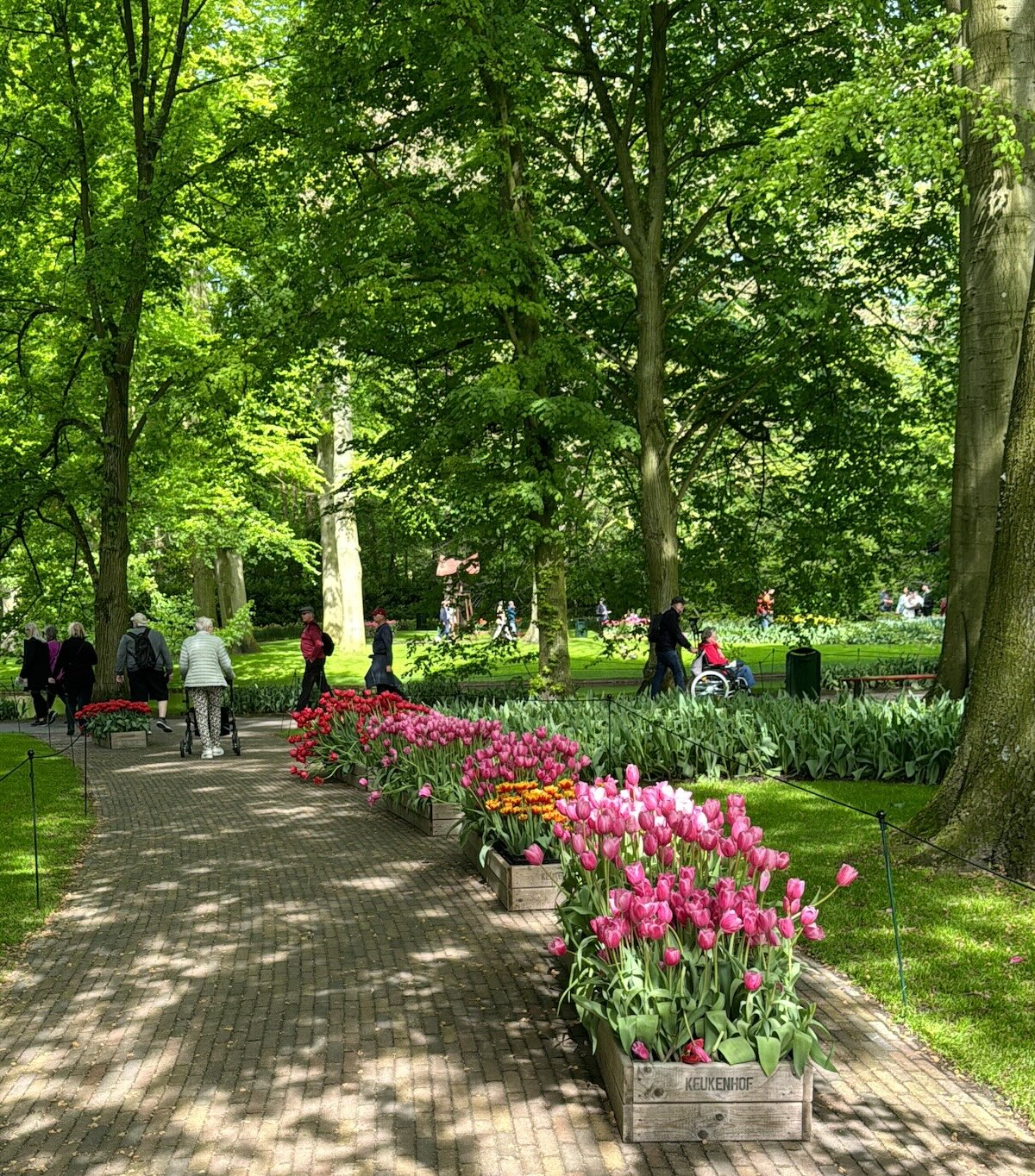 jardim das tulipas de amsterdam em maio