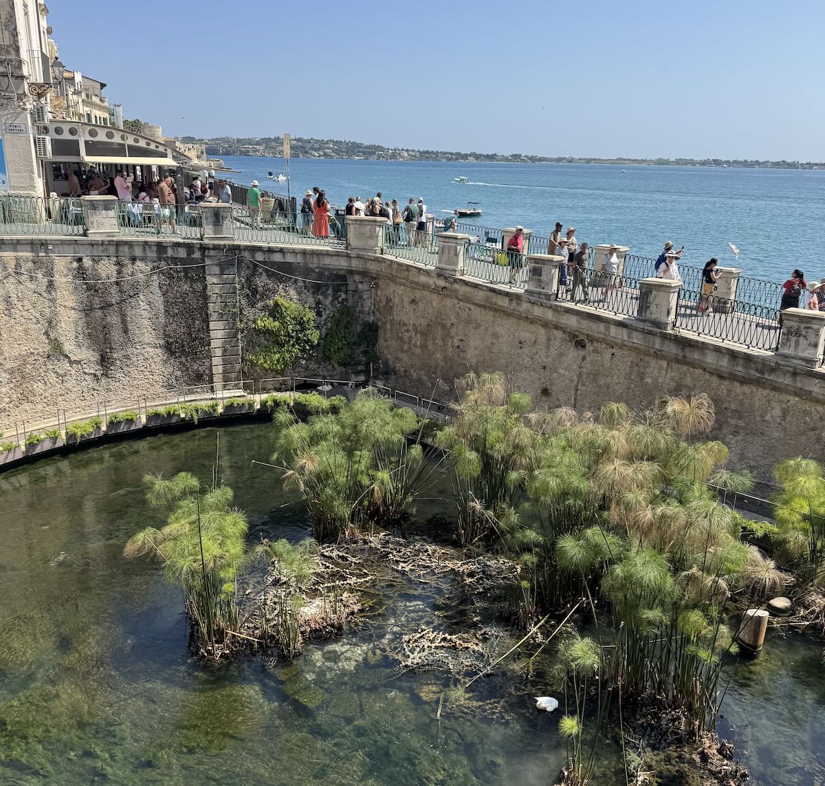 fonte aretusa em siracusa na sicilia